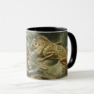Tasse Lézards par Ernst Haeckel Lacertilia Animal Vintag