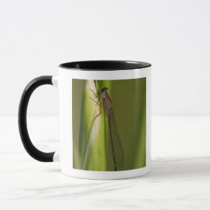 Tasse Libellule sur l'iris bourgeonné