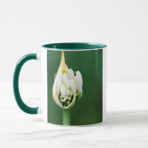Tasse Lily africaine, Praecox d'Agapanthus, Cap