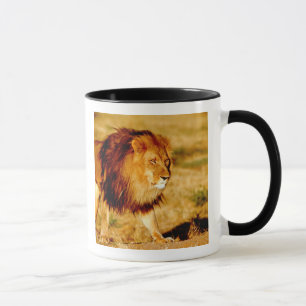 Tasse Lion solitaire