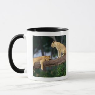 Tasse Lionnes dans un arbre