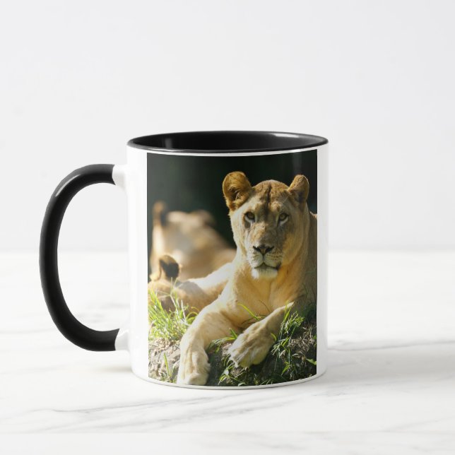 Tasse Lions (Gauche)