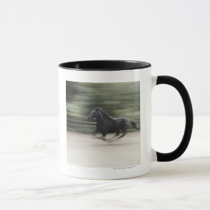 Tasse L'Italie, Latium, galoper de cheval de Maremma