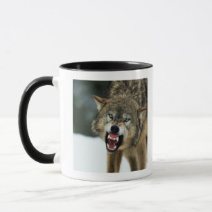 Tasse Loup gris de grondement