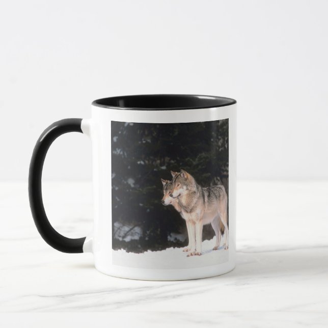 Tasse Loups gris (Gauche)