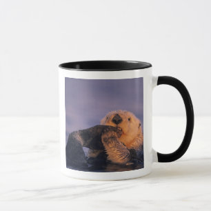 Tasse Loutres de mer, Enhydra lutris