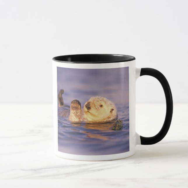 Tasse Loutres de mer, Enhydra lutris (Droite)