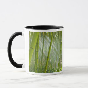 Tasse Lumière du matin filtrant à travers le bambou