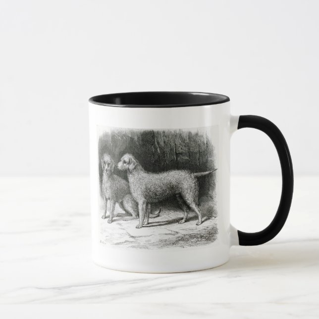Tasse M.F. Armstrong de chiens terriers de Bedlington (Droite)