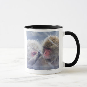 Tasse Macaques japonais (fuscata de Macaca) se