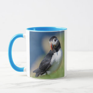 Tasse Macareux Atlantique (Fratercula Arctica) Sur Une F