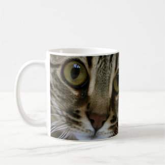 Tasse magique
