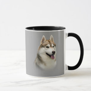 Tasse magnifique de chien de traîneau sibérien