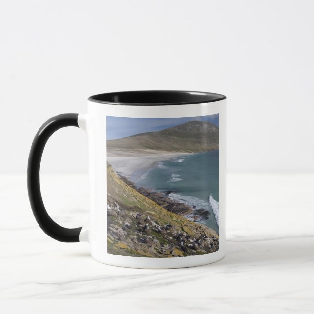 Tasse Malouines, Falkland Ouest, Saunders (Gauche)