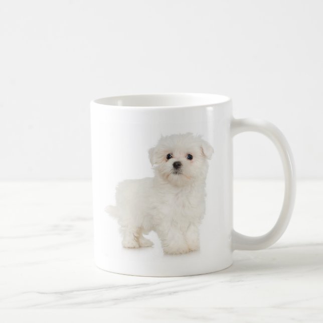 Tasse maltaise (Droite)