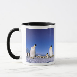 Tasse Manchot Antarctique, péninsule Antarctique