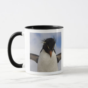 Tasse Manchot de Hopkins Eudyptes chrysocome