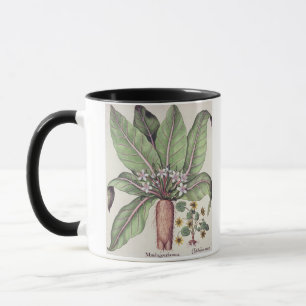 Tasse Mandragore d'automne, du "Hortus Eystettensis" par