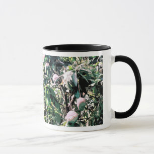Tasse Manguier