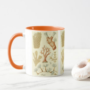 Tasse Manuel de sciences Biologie, Animaux de corail vin