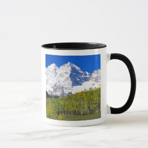 Tasse Maroon Bells avec forêt de trembles en automne.