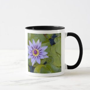 Tasse Martinique, Antilles, Antilles, Antilles, Bleu