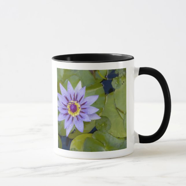 Tasse Martinique, Antilles, Antilles, Antilles, Bleu (Droite)