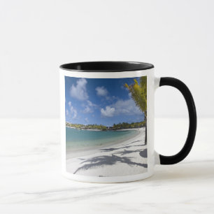 Tasse Maurice, Ile Maurice, Trou d'Eau Douce,