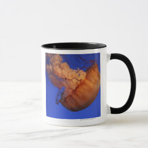 Tasse Méduses d'ortie de mer