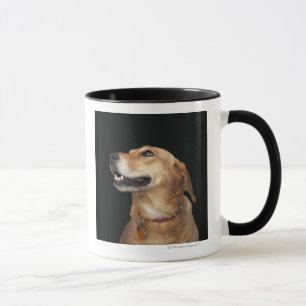 Tasse Mélange d'or de laboratoire de beagle regardant a