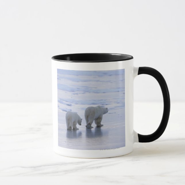 Tasse Mère et CUB d'ours blanc (Droite)