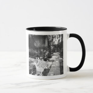 Tasse MEXICO, D.F., Mexico, COYOACAN : Banc à