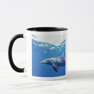 Tasse Mexique, Cozumel. Dauphin en bouteille, Tursiops 3