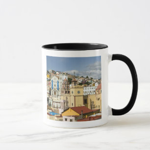 Tasse Mexique, État de Guanajuato, Guanajuato. Basiliqu