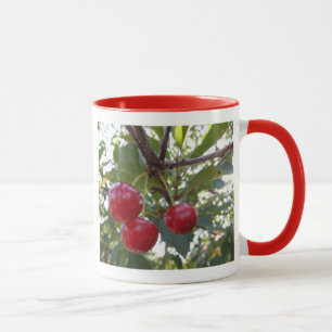 Tasse Michigan Cherries