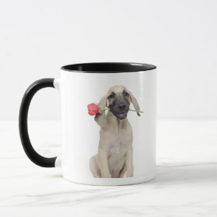 Tasse mignon, admiration, romance, amour,
