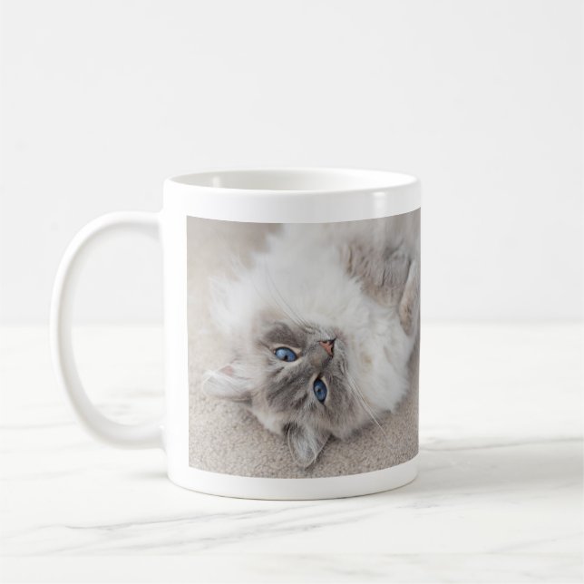 Tasse mignonne de chat de Ragdoll (Gauche)