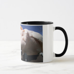 Tasse Moluquois heureux