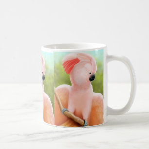 Tasse moluquoise de cacatoès