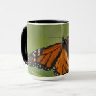 Monarque papillon mâle sur le marécage Milkweed