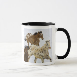 Tasse Montagnes Big Horn, Chevaux courant dans la neige