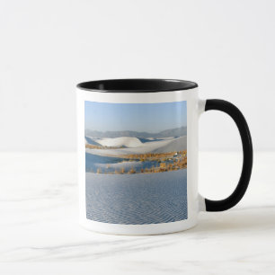 Tasse Monument national de White Sands, Dunes transversa