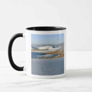 Tasse Monument national de White Sands, Dunes transverse