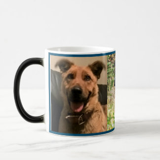 Tasse morphing d'animal familier personnalisable