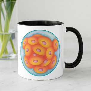 Tasse Morula