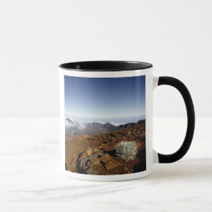 Tasse Mot d'argent sur la rime du cratère de Haleakala 