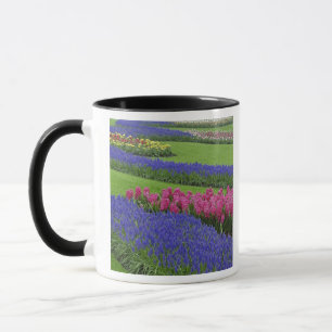 Tasse Motif de jacinthe des vignes, de tulipes et