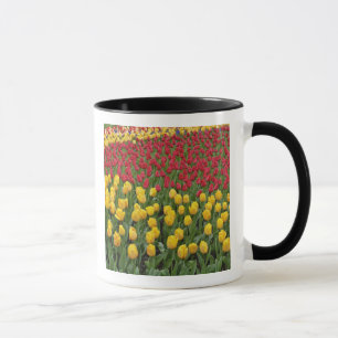 Tasse Motif de jardin de tulipes, Jardins de Keukenhof, 