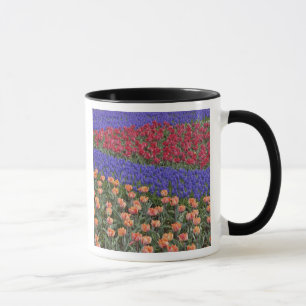 Tasse Motif de tulipes et de fleurs de muscari, 3