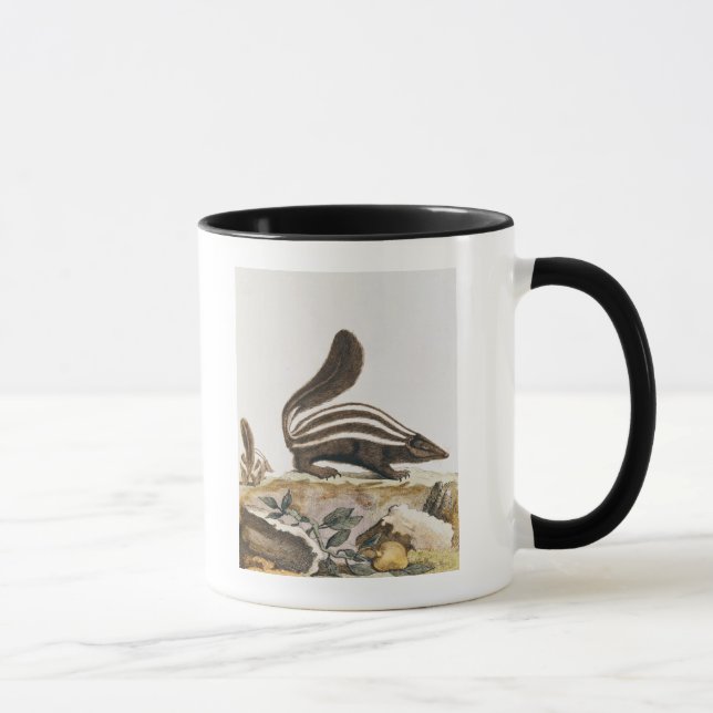 Tasse Mouffette, de "Histoire Naturelle" par (Droite)